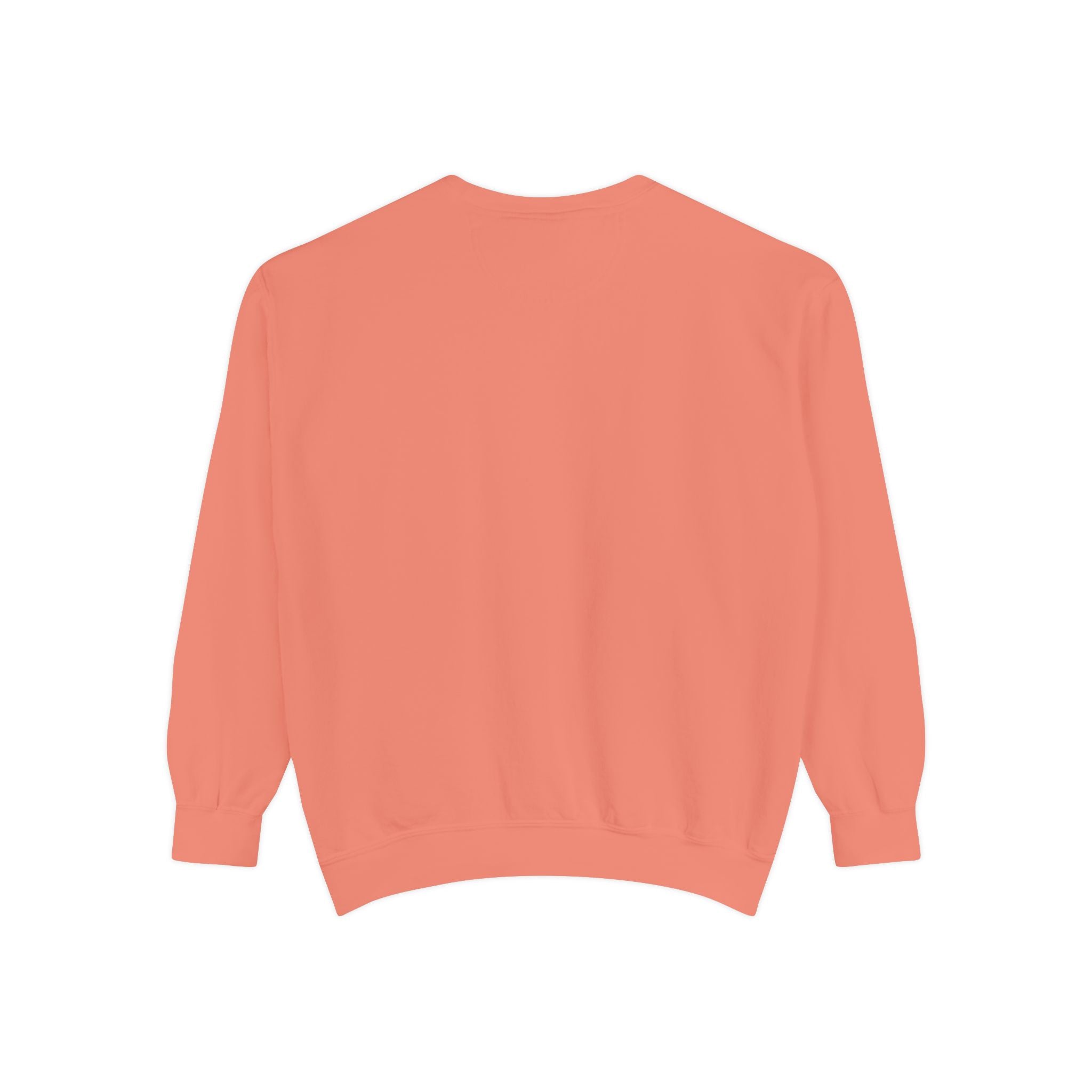 Embroidered Sweatshirt